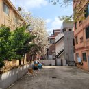 키친달팽이 이미지