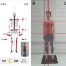 M체형교정&PT 이미지
