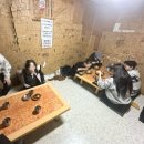 시골집 | [강릉] 옛 시골집 분위기의 맛집 금학칼국수