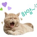제일유화 이미지