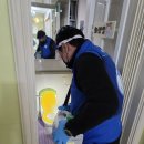 양산쥐 양산방역업체 양산바퀴벌레 양산방역 양산해충방역 양산어린이집방역 방역대장