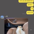 봉순이네 펫살롱 이미지