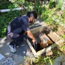 하천 수위감시 이미지