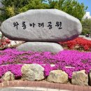 와룡(아래)공원 이미지