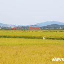 코로나19 시대 ‘소확행’으로 심신 달랜다