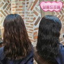 N 년째 다니고 있는 민락동미용실 살롱드프롬 의정부점 (내 돈 내산)