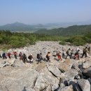 달마고도 이미지