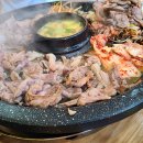 산천오리 이미지