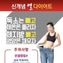 제시점핑 네이버블로그