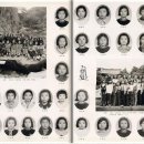 청호초등학교 이미지