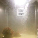 아라동물병원아라메디칼