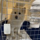 맥스켄넬 이미지