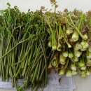 기운농장 이미지