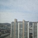 함평터미널 공인중개사사무소 이미지