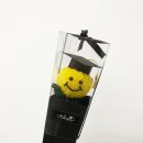 더블러썸 이미지