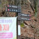 카페라상떼 이미지