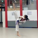 STS한국체대태권도 이미지