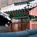 봉은사감로도 이미지