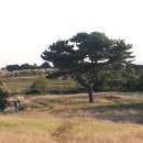 장수원목장 이미지