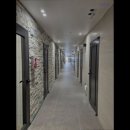 스테이 고대 이미지