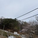 적석산 | 마산 진전 봄꽃 등산 경남 고성 가볼만한 곳 <적석산>