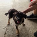 한양대학로 이미지