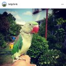 까꿍이 하우스 이미지