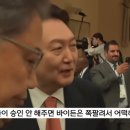 욜랑욜랑 이미지