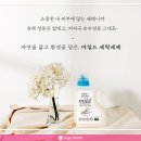 마일드세탁 이미지