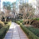 가장큰현대아산약국 이미지