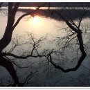 옥구저수지 이미지