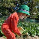 임광어린이집 이미지