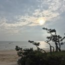 [보령]대천해수욕장 근처 해와달 개별바베큐 독채 펜션