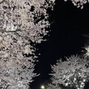 GS25강릉사랑점 이미지