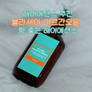 (주)에센파마 | 헤어에센스 추천 : 블라세아 아르간오일 향기 좋은 헤어세센스