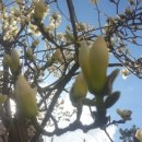 꽃편지길 이미지