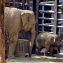 유동물원 이미지