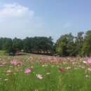 용계농장 이미지