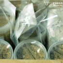 볼몽지엥 이미지