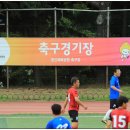 봉평생활체육공원(본부석) | 경기도생활체육대축전 고양2023 관전기 = 중산체육공원 축구