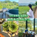 지에스25 연지원심점 | 청도 글램핑 감성숙소 힐링 여행으로 다녀온 미러 &amp; 미러스테이 후기