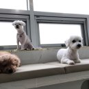 고덕유치원 이미지