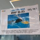 펫도그 애견스쿨 네이버블로그
