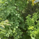 송현리경로당 이미지