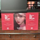 베스타 스킨케어 | 성수 팝업 무신사 뷰티페스타 후기 - 본품 브랜드 추천 꿀팁, 카리나 실물 후기, 얼루어뷰티페어