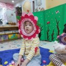 꽃뿐이네 이미지