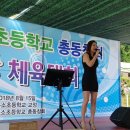 봉소초등학교 이미지