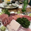 다미참치 이미지