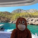 남제주별어린이집 | 니스 근교 남프랑스 투어 후기 • 무스티에 생트 마리 , 발랑솔 라벤더 , 베르동 협곡 당일치기