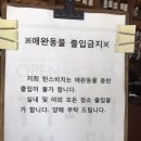 탄스비치 이미지